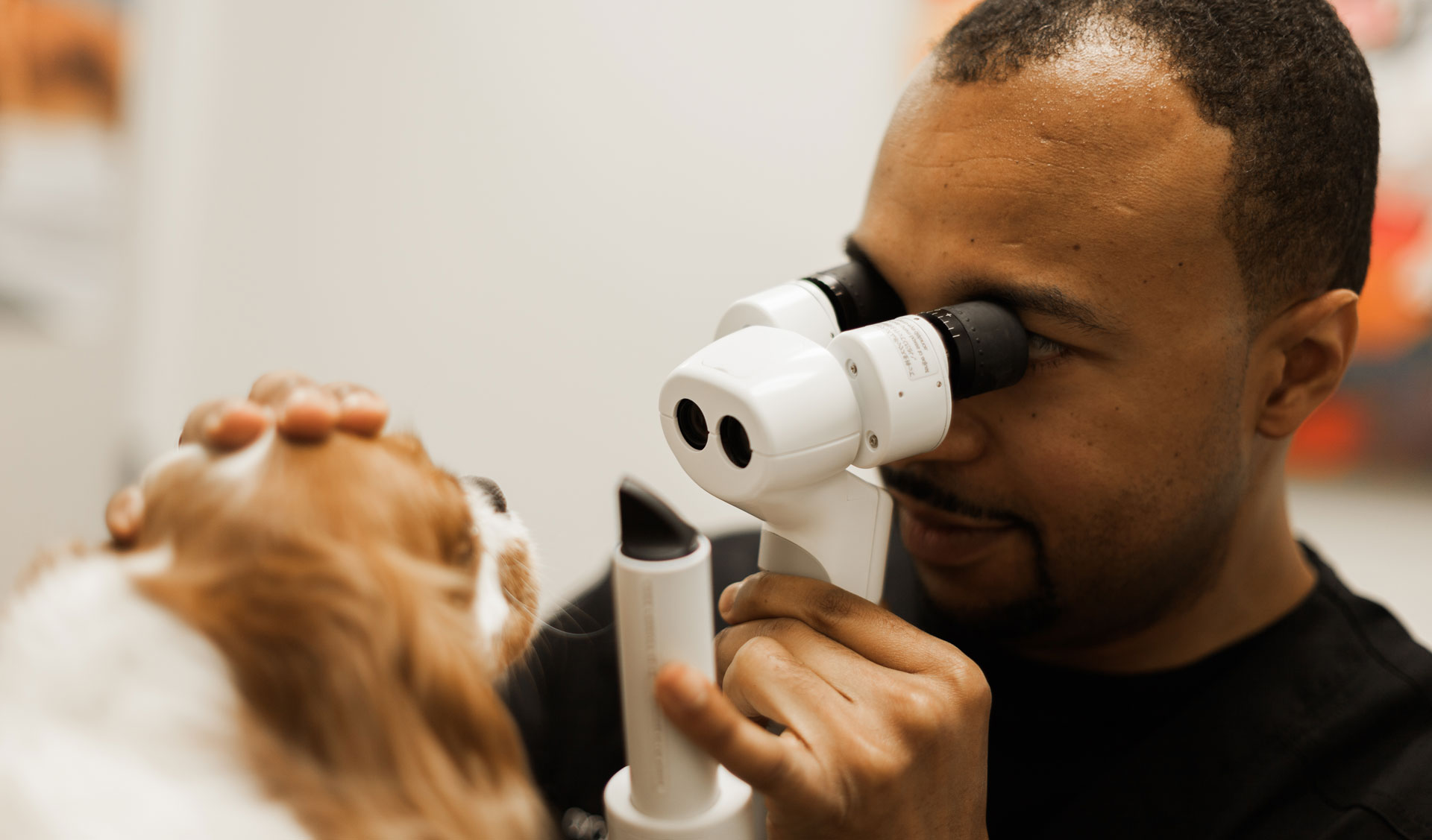 Veterinarian in Shreveport Vet Near You Veterinary Vision Center