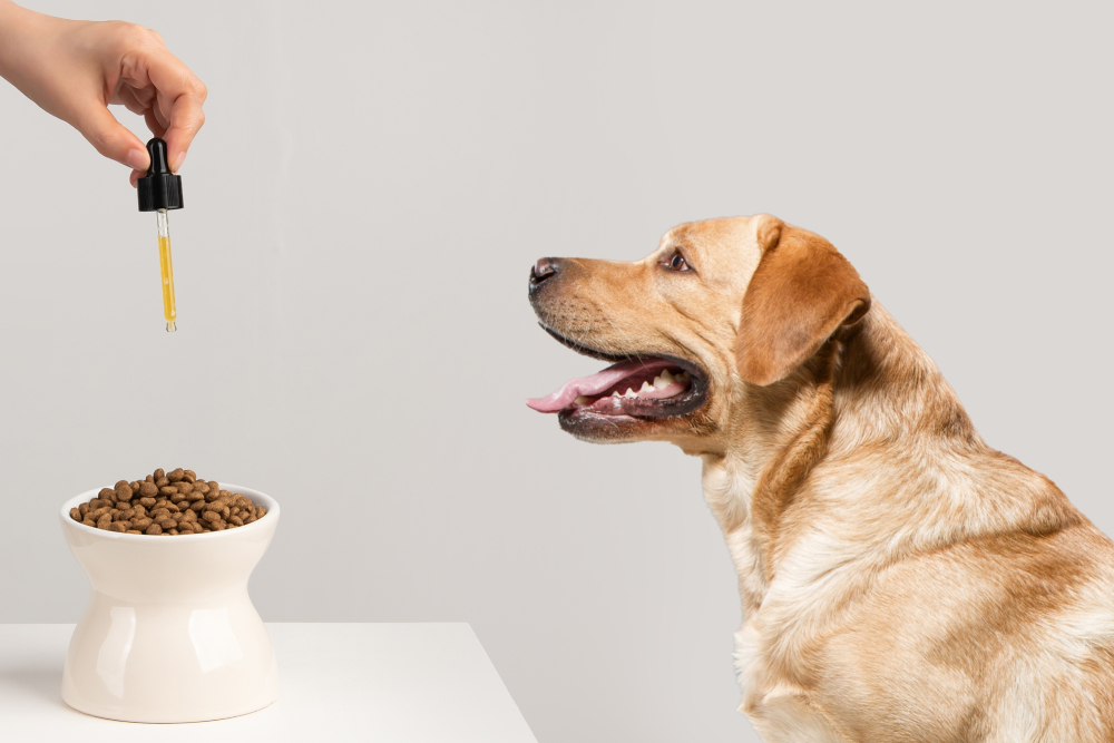 Nutritional supplements being added to pet food to support healthy vision and overall wellness.